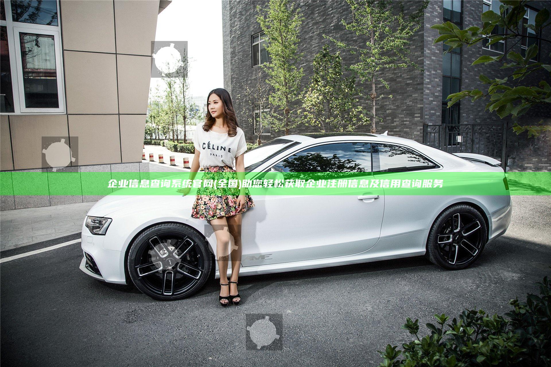 企业信息查询系统官网(全国)助您轻松获取企业注册信息及信用查询服务