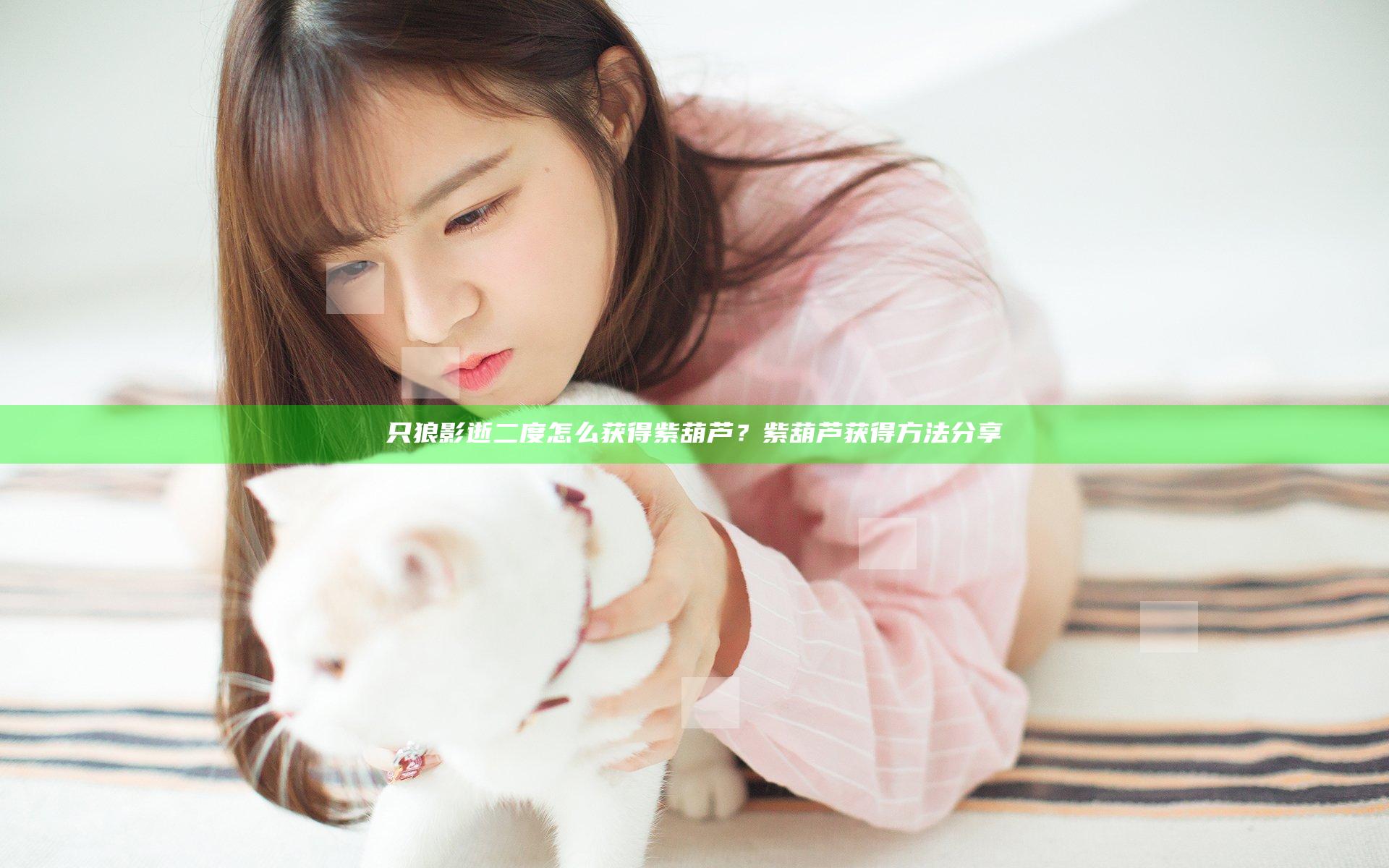 只狼影逝二度怎么获得紫葫芦？紫葫芦获得方法分享