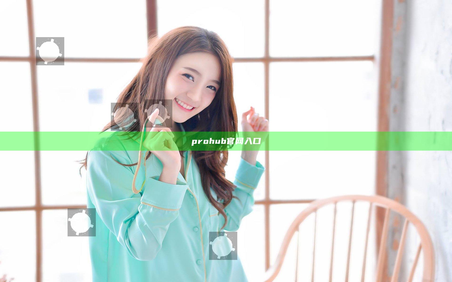 prohub官网入口
