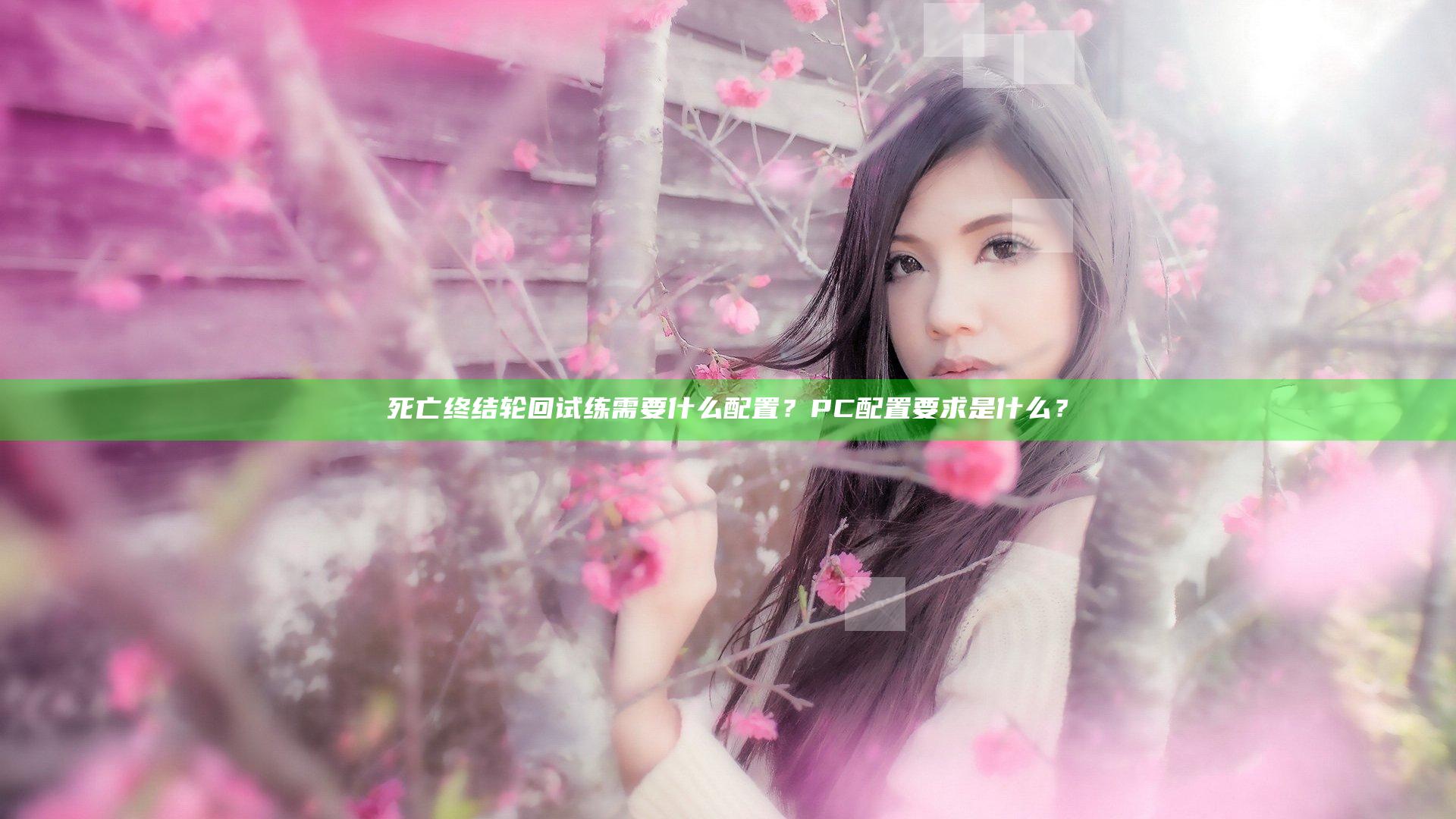 死亡终结轮回试练需要什么配置？PC配置要求是什么？